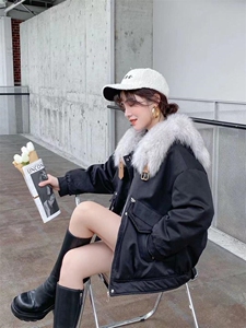 派克图片
