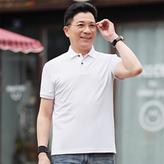 夏季翻领polo衫男短袖休闲宽松商务纯色半袖休闲百搭短袖t恤男士，男装T恤，电商B212（原钱塘6029）