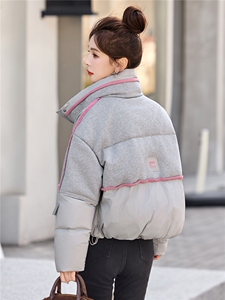 2025年冬季90白鸭绒保暖休闲风短款图片