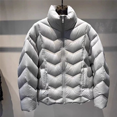 (网图)90白鸭绒200-230克高充绒休闲龟背羽绒服313B-88081-P350，男装羽绒服，星座313B