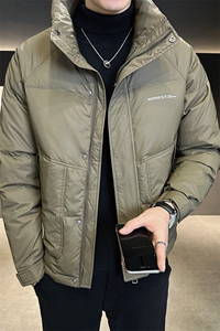 2024新款冬季羽绒服男士外套潮牌立领上衣 A313-6301-P175控价258图片
