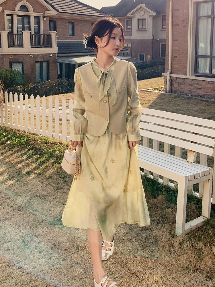 现货主推马甲连衣裙两件套210-786-P145-K2182025年秋季,女装套装/套裙,浙宝210（原浙宝191）