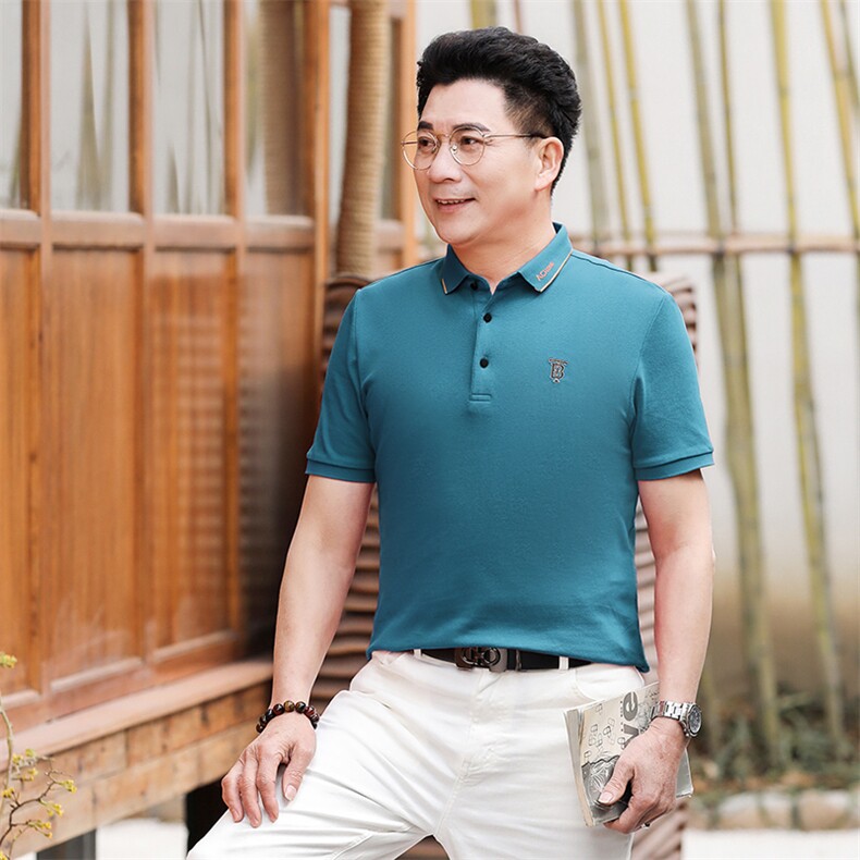 夏季保罗POLO衫男士短袖T恤纯棉休闲翻领宽松半袖中年男装体恤衫,男装Polo衫,电商B212（原钱塘6029）