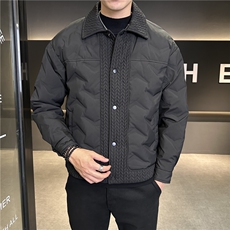冬季现货主推不断货翻领轻薄灰鸭绒简约羽绒服外套YR121P155，男装羽绒服，电商B226-2（原B217-2）