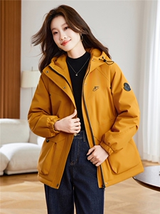 现货2025冬季新款休闲时尚连帽女士加厚加棉派克服图片