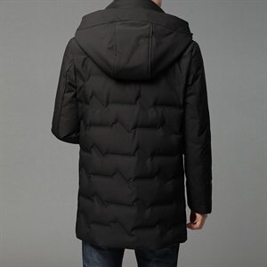 B20130钱塘2020-1冬季男士连帽羽绒服高端90白鸭绒P295图片