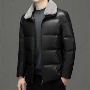 BH2222钱塘2020-2中年男士秋冬季新款时尚休闲简约羽绒服P185图片