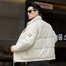 冬季白鸭绒加厚羽绒服短款青年休闲立领保暖防寒潮服外套男装，男装羽绒服，钱塘6003（原4033）