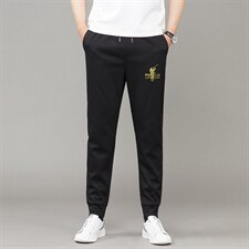 运动卫裤男士春季新款长裤男款束脚裤透气休闲裤小脚裤子宽松卫裤，男装休闲裤，电商B212（原钱塘6029）