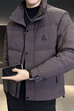 DS-A225标50冬季新款男士立领内衬石墨烯白鸭绒羽绒服3139，男装羽绒服，电商A225