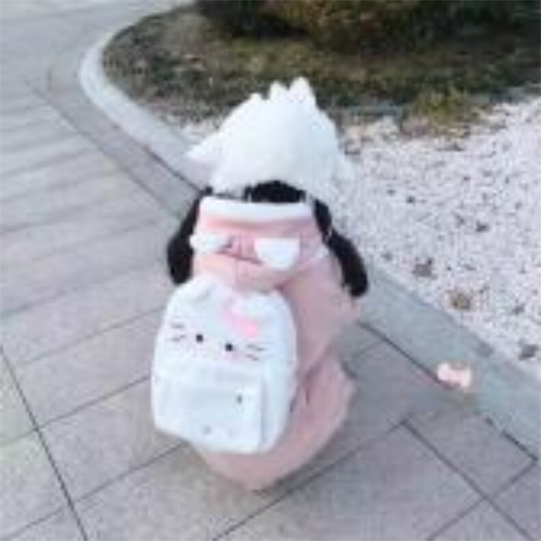 拟物卡通双肩包KT猫包包，诚责毛绒玩具厂