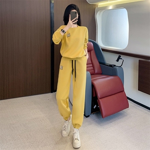网红炸街洋气女春秋穿搭一整套高级感时尚显瘦韩版卫裤两件套圆领图片