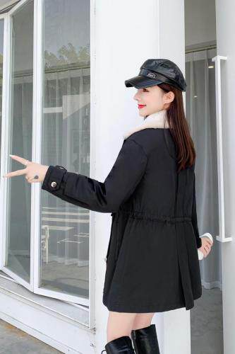 田间晨露 TJCL100819