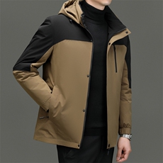DF2387钱塘2020-2新款百搭简约有帽厚款中年男士羽绒服P255，男装羽绒服，钱塘207-2