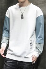 2021春秋季新款潮牌宽松情侣休闲圆领卫衣男DS667T，男装卫衣，电商A102