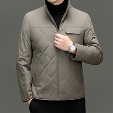 秋冬高端立领休闲棉服男2026新款羊毛填充高级感商务夹克棉衣外套，男装夹克，电商B212（原钱塘6029）