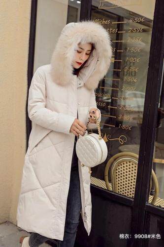 红.炫影 HZHXY101901