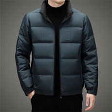 DZ12211钱塘2020-3冬季厚款商务休闲简约立领男士羽绒服P200，男装羽绒服，钱塘207-3