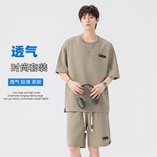 特批P55无差价夏季休闲贴标大码轻薄五分短袖短裤套装男TZ5593，男装休闲套装，电商A001-1