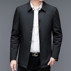 2024年新款羽绒服P225，男装羽绒服，电商D223-1