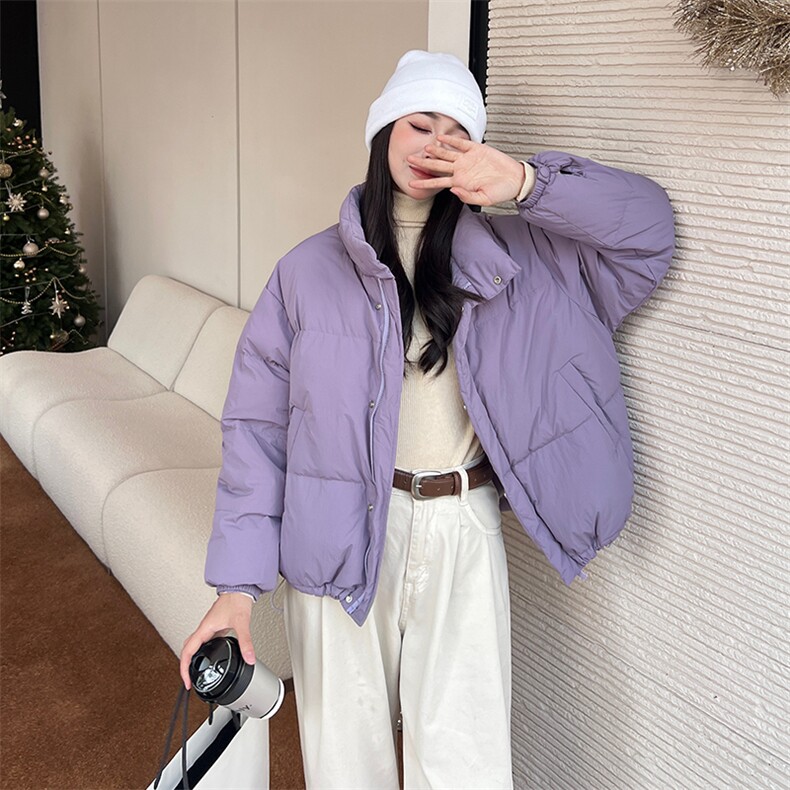 2023冬季新款时尚休闲立领羽绒服,女装羽绒服,阿舍尔精品
