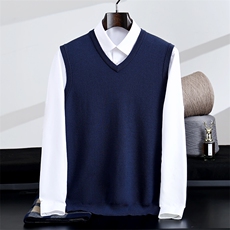 2025年秋季商务休闲秋季V领宽松型青春流行套头时尚百搭，男装背心/马甲，星纬羊绒