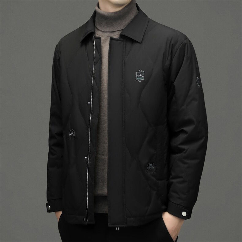 BWDF-12钱塘2020-2中年男士冬季厚款时尚休闲简约羽绒服P203图片