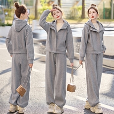 2025春季新款休闲潮流气质显瘦抽绳连帽运动套装时尚套装两件套，女装套装/套裙，浙宝220