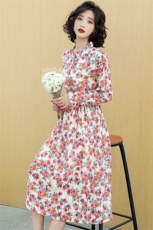 2024春季新款时尚个性气质花边小立领印花连衣裙，女装连衣裙，天丽