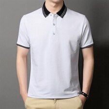 POLO衫男上衣半袖男装衣服男士体恤衫T恤潮牌休闲翻领爸爸短袖男,男装T恤,电商B212（原钱塘6029）