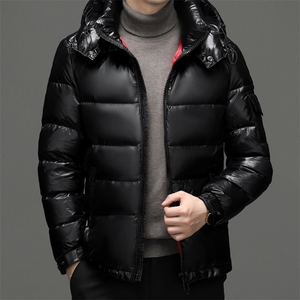 2024年新款羽绒服P450图片