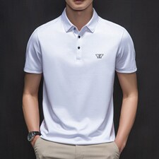 polo衫短袖男夏季潮牌2023新款半袖上衣宽松翻领t恤男，男装T恤，电商B212（原钱塘6029）