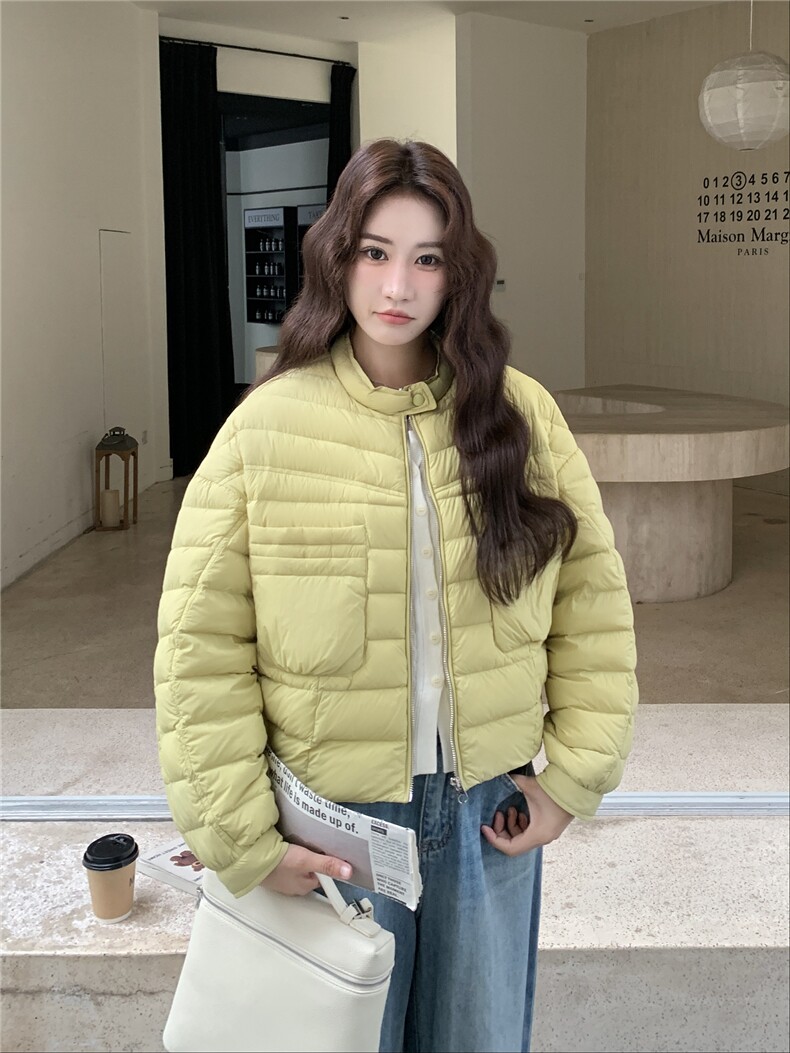 极简风休闲轻羽绒服女2025冬季新款韩系立领保暖白鸭绒百搭厚外套,女装羽绒服,玖莱伊