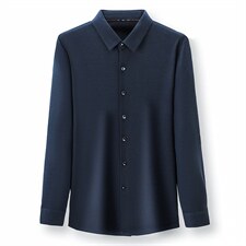 长袖衬衫男春秋季2023新款高端商务翻领薄款中年宽松免烫衬衣，男装衬衫，电商B212（原钱塘6029）