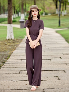 天丝麻套装女2026休闲优雅夏季新款气质高级感阔腿裤两件套装图片