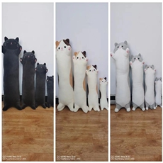 灰猫