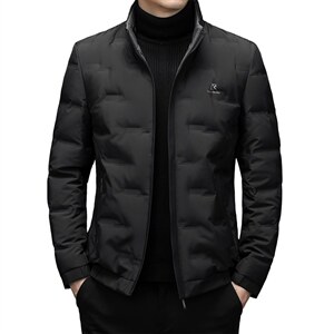 中年男立领羽绒服男短款冬装外套白鸭绒爸爸装上衣XX2189-P250,男装羽绒服,电商B212（原钱塘6029）