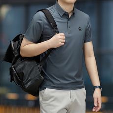 保罗男士短袖T恤翻领半袖薄款2023夏季新款中年商务休闲polo衫男，男装Polo衫，电商B212（原钱塘6029）