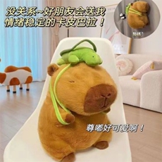 欣妍毛绒玩具 乌龟水豚（兔毛）