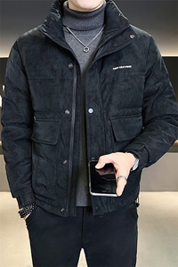 8861-L-4XL-P175店主风秋季新款立领休闲麂皮绒字母羽绒服外套男图片