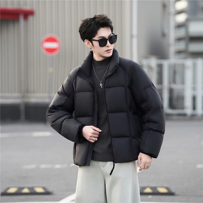 带报告标50白鸭绒高充绒量泡芙男装羽绒服C317-Y8855-P275,男装羽绒服,电商C317