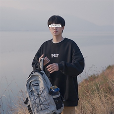 圆领卫衣男春季简约字母上衣服美式复古B225-A6402-P53-X68，男装卫衣，电商B225