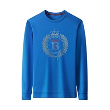 新款男长袖印花上衣2023春秋季宽松加厚圆领卫衣中年男士打底衫，男装卫衣，电商B212（原钱塘6029）