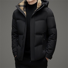 DAJ9039钱塘2020-2新款百搭厚款时尚休闲中年男士羽绒服外套P255，男装羽绒服，钱塘207-2