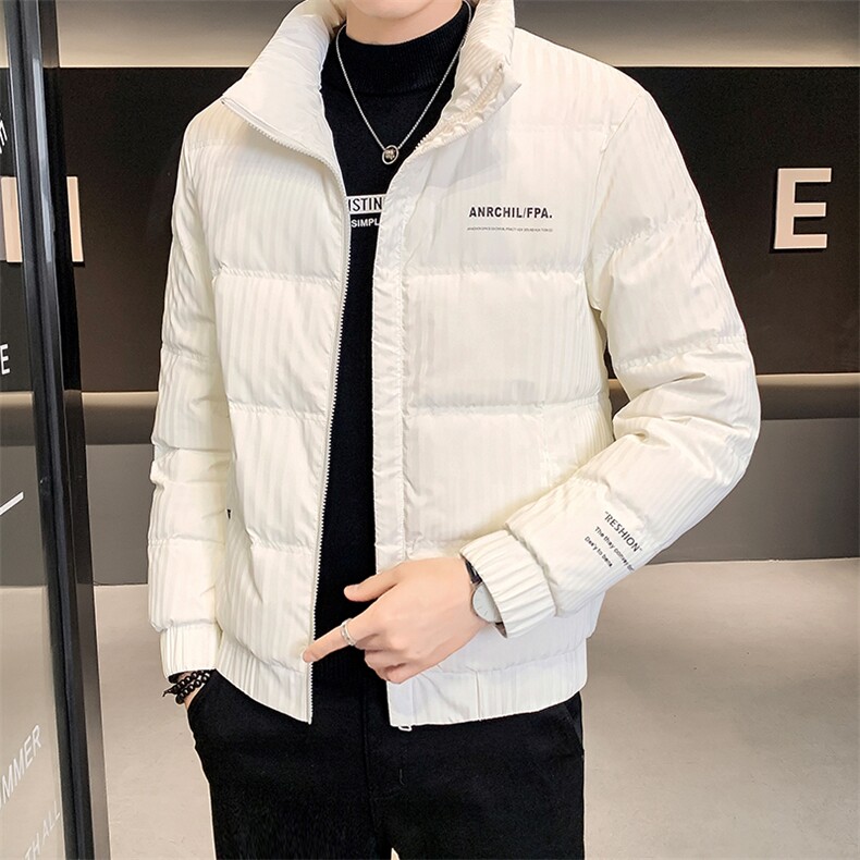羽绒服男冬季2025新款条纹立领男士外套A313-8801-P100特批,男装羽绒服,电商A313