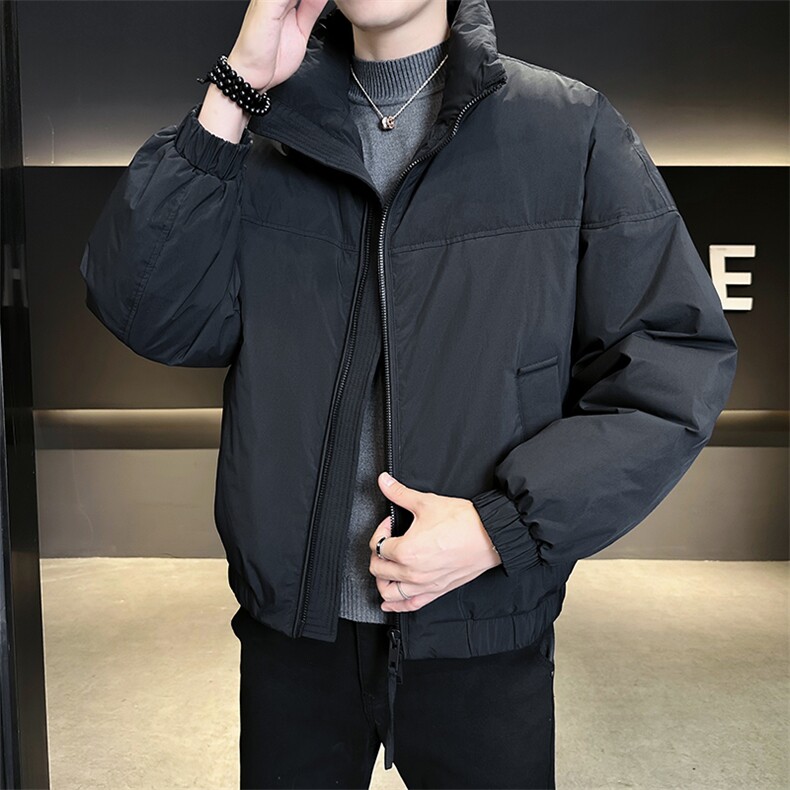 90新标2025冬设计款立领休闲加厚保暖宽松羽绒服外套5971-P295,男装羽绒服,电商A413