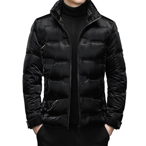 白鸭绒中年男休闲立领羽绒服保暖爸爸装短款羽绒服男YL5806-P275，男装羽绒服，电商B212（原钱塘6029）
