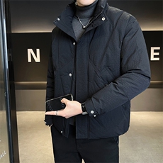 标50绒店主风2025新款立领短款羽绒服外套8302-P185(控券后278)，男装羽绒服，电商B328