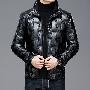 新款2023冬季羽绒服男装保暖白鸭绒外套中年爸爸装ALXB82006-P195图片
