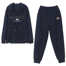 春秋休闲套装女2024新款时尚洋气减龄中年妈妈卫衣裤两件套，女装套装/套裙，丽影随形
